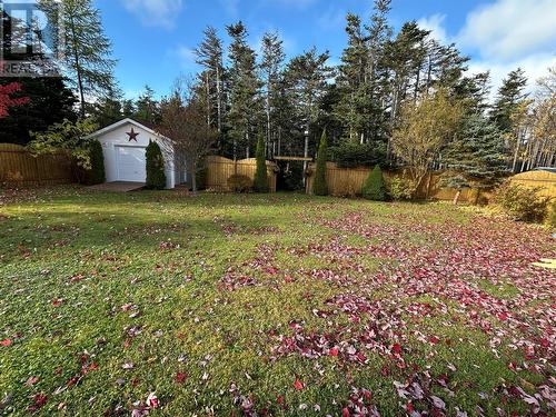 17 Wildberry Lane, Victoria, NL - Outdoor