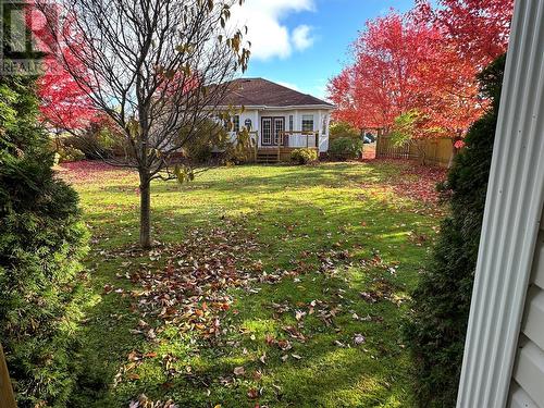 17 Wildberry Lane, Victoria, NL - Outdoor
