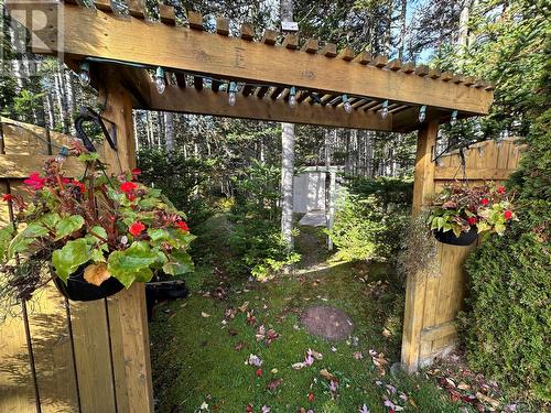 17 Wildberry Lane, Victoria, NL - Outdoor