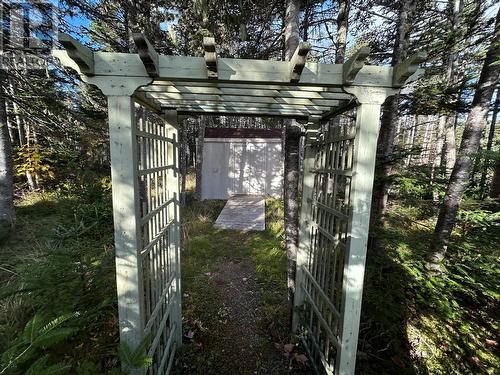 17 Wildberry Lane, Victoria, NL - Outdoor