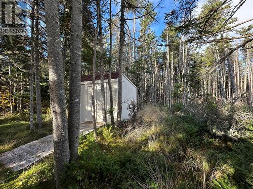 17 Wildberry Lane, Victoria, NL - Outdoor