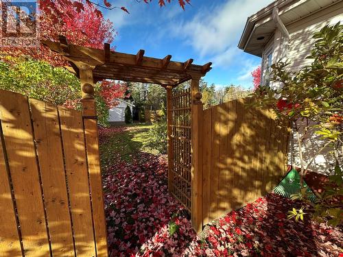 17 Wildberry Lane, Victoria, NL - Outdoor