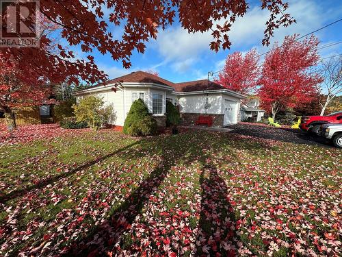 17 Wildberry Lane, Victoria, NL - Outdoor