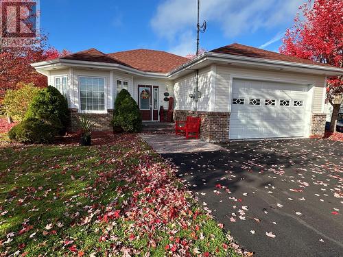 17 Wildberry Lane, Victoria, NL - Outdoor
