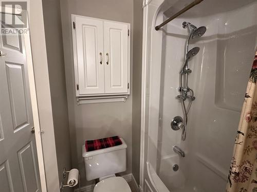 17 Wildberry Lane, Victoria, NL - Indoor Photo Showing Bathroom