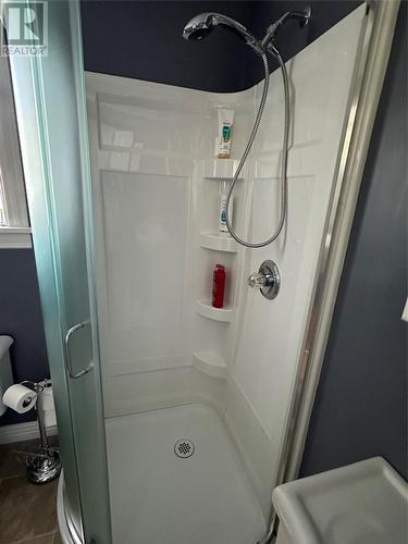 17 Wildberry Lane, Victoria, NL - Indoor Photo Showing Bathroom