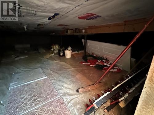 17 Wildberry Lane, Victoria, NL - Indoor Photo Showing Garage