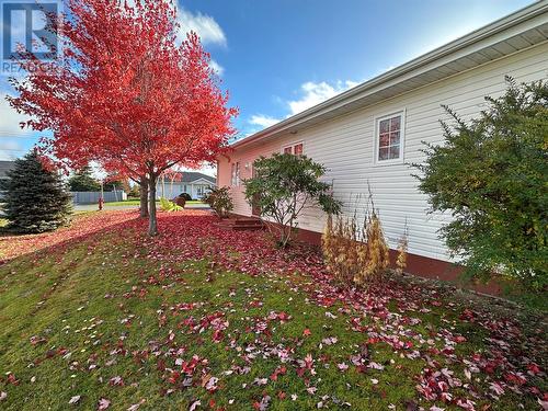 17 Wildberry Lane, Victoria, NL - Outdoor