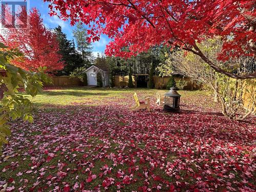 17 Wildberry Lane, Victoria, NL - Outdoor