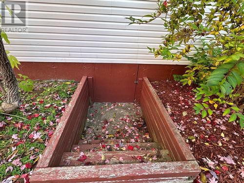 17 Wildberry Lane, Victoria, NL - Outdoor