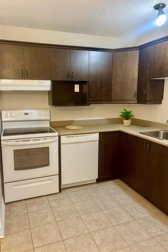 Cuisine - 1-95 Rue Du Stratus, Gatineau (Hull), QC - Indoor Photo Showing Kitchen