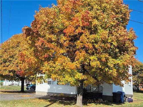 294 J.D Gauthier Blvd, Shippagan, NB 