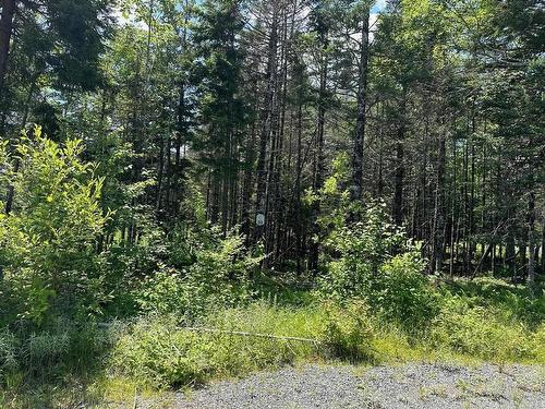 Black Cherry Lane, Ardoise, NS 