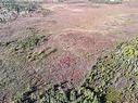 Acreage Highway 3, Charlesville, NS 