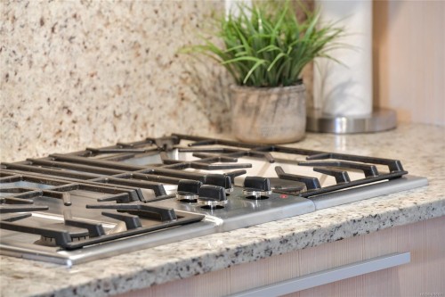 1003-707 Courtney St, Victoria, BC - Indoor Photo Showing Other Room