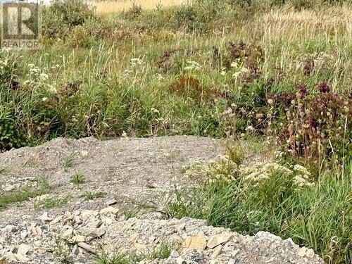 1.012 Acres, 300' Frontage on Hwy 11 N - North Triangle - 0 Highway 11 North Highway, Englehart (Central Timiskaming), ON 