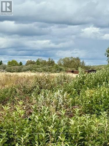 North Triangle - 0 Highway 11 North Highway, Englehart (Central Timiskaming), ON 