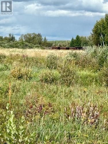 North Triangle - 0 Highway 11 North Highway, Englehart (Central Timiskaming), ON 