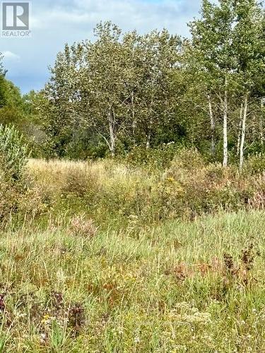 North Triangle - 0 Highway 11 North Highway, Englehart (Central Timiskaming), ON 