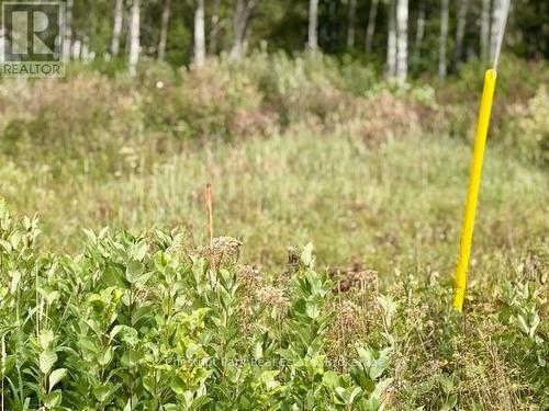 North Triangle - 0 Highway 11 North Highway, Englehart (Central Timiskaming), ON 