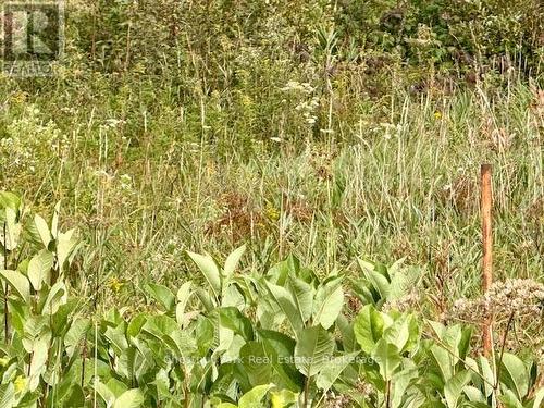 North Triangle - 0 Highway 11 North Highway, Englehart (Central Timiskaming), ON 