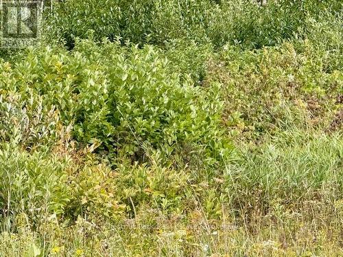 North Triangle - 0 Highway 11 North Highway, Englehart (Central Timiskaming), ON 