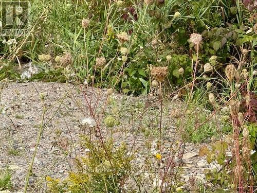 Existing Entrance off Hwy 11 N - North Triangle - 0 Highway 11 North Highway, Englehart (Central Timiskaming), ON 