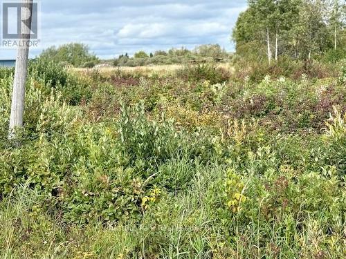 1.012 Acres, 300 feet of Frontage on Hwy 11 N - North Triangle - 0 Highway 11 North Highway, Englehart (Central Timiskaming), ON 