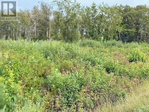 North Triangle - 0 Highway 11 North Highway, Englehart (Central Timiskaming), ON 