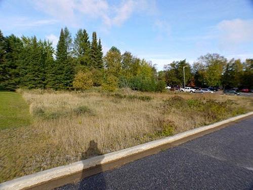 2 Sandy Beach Mews, Dryden, ON 