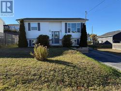 10 Dove Crescent  Massey Drive, NL A2H 7T3