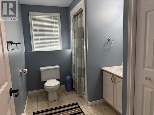 10 Dove Crescent, Massey Drive, NL - Indoor Photo Showing Bathroom
