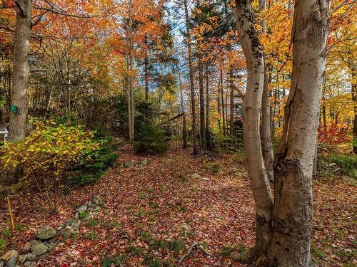 89 Lincoln Cross, Halifax, NS 