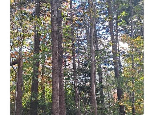 89 Lincoln Cross, Halifax, NS 