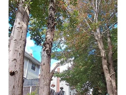 89 Lincoln Cross, Halifax, NS 