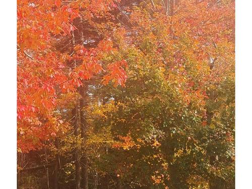 89 Lincoln Cross, Halifax, NS 