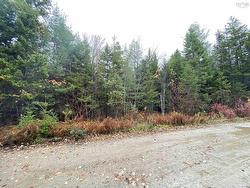 Lot 50 Sunrise Road North Kemptville, NS B5A 5X9