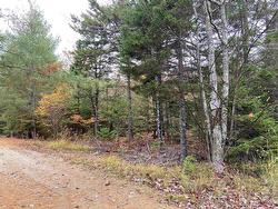 Lot 48 Sunrise Road North Kemptville, NS B5A 5X9