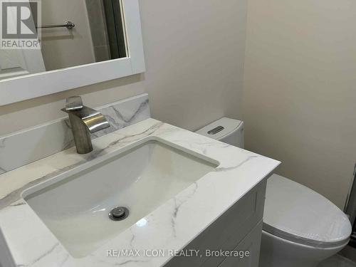 Basement - 1099 Prince George Road, London North (North M), ON - Indoor Photo Showing Bathroom