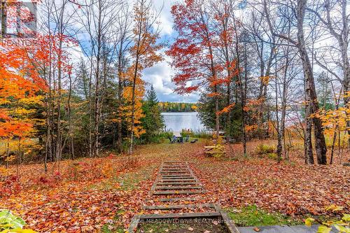 1658 Hospitality Road, Minden Hills, ON - Outdoor With View