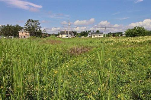 Land/Lot - Rue À Bonfils, Percé, QC 