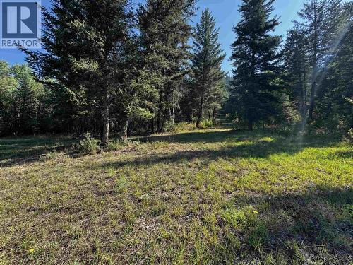 Lot 1 Robertson Road, Mcleese Lake, BC 