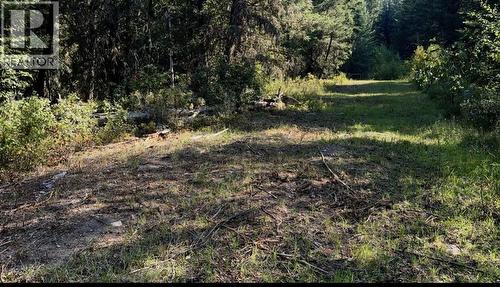 Lot 1 Robertson Road, Mcleese Lake, BC 