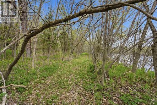 21 Eley Rd, Iron Bridge, ON - Outdoor With View