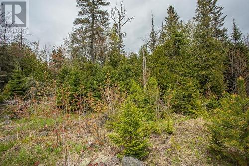 . Highway 17 E, Bruce Mines, ON 