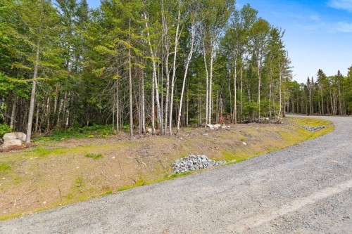 Loft - Ch. Du Lac-De-L'Orignal, Val-Des-Lacs, QC 