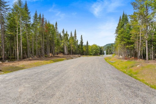 Rue - Ch. Du Lac-De-L'Orignal, Val-Des-Lacs, QC 