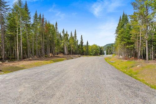 Rue - Ch. Du Lac-De-L'Orignal, Val-Des-Lacs, QC 