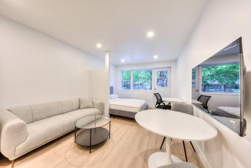Vue d'ensemble - 101-3475 Rue Durocher, Montréal (Le Plateau-Mont-Royal), QC - Indoor Photo Showing Living Room