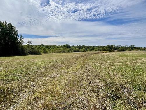 3040 Clementsvale Road, Bear River East, NS 